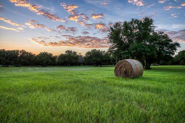 1585 Round Top Rd, Home with 6 bedrooms, 7 bathrooms and null parking in Round Top TX | Image 34