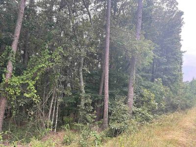 lot 11 Haley, Home with 0 bedrooms, 0 bathrooms and null parking in Greers Ferry AR | Image 2