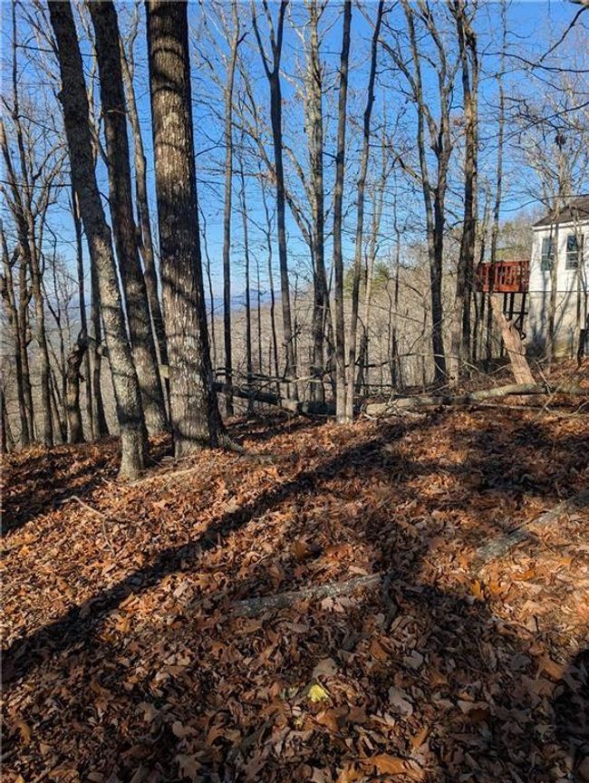 234 Stirratt Rd, Home with 0 bedrooms, 0 bathrooms and null parking in Ranger GA | Image 6