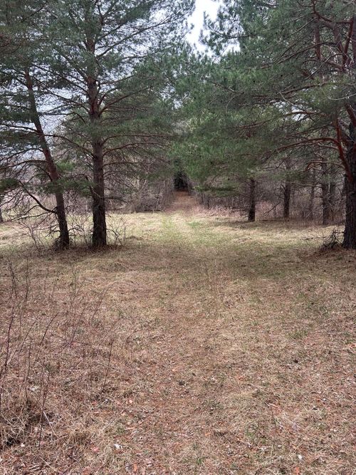 tbd 253rd Ave Nw, Zimmerman, MN, 55398 | Card Image