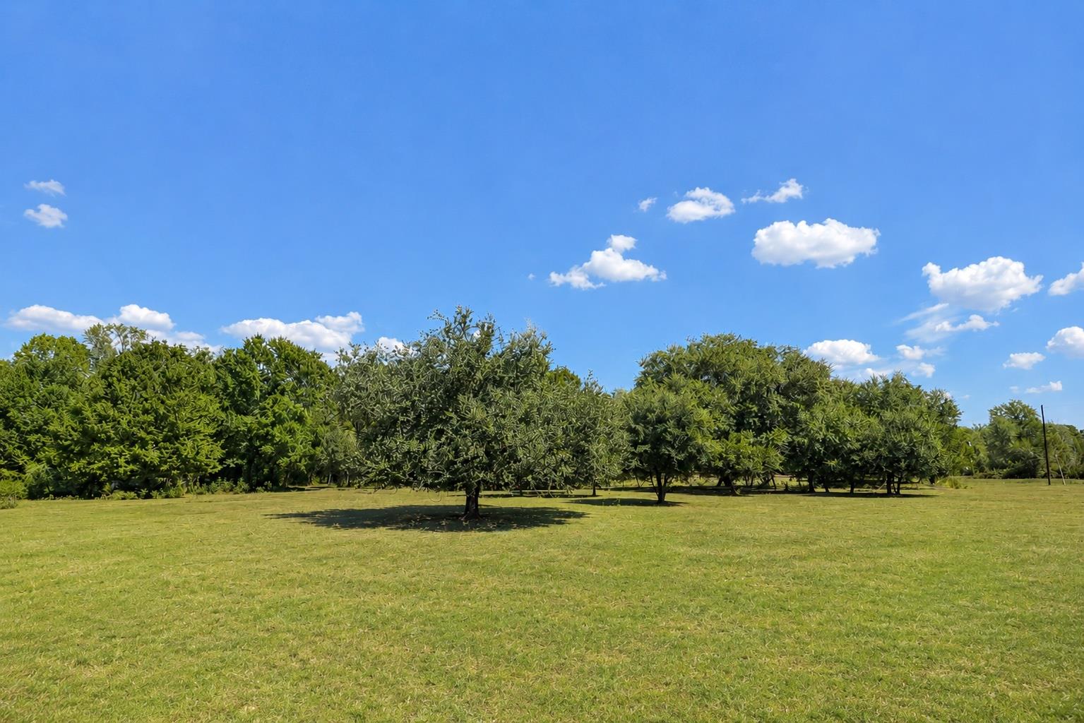 Farm in Lexington 5