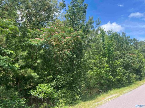 Lot 2 Meadow Creek Rd, Glencoe, AL, 35905 | Card Image