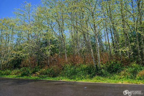 821 Duck Lake Drive Ne, Ocean Shores, WA, 89569 | Card Image