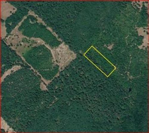 0 County Road 1655, Crockett, TX, 75835 | Card Image