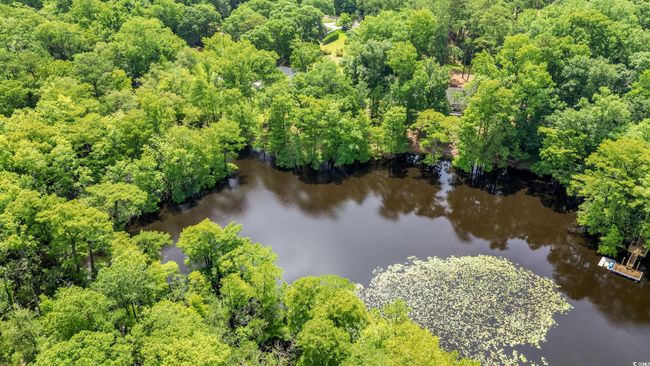 Bird's eye view of a large body of water and a heavily wooded area | Image 32