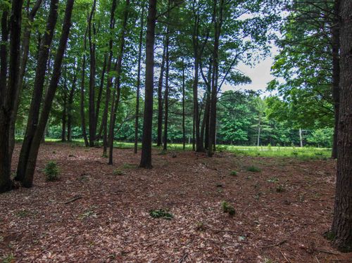 0000-Unit 41 Trailside Drive, Weldon Township, MI, 49683 | Card Image