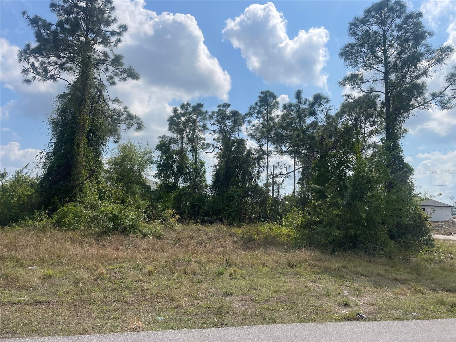 Land in LEHIGH ACRES 3