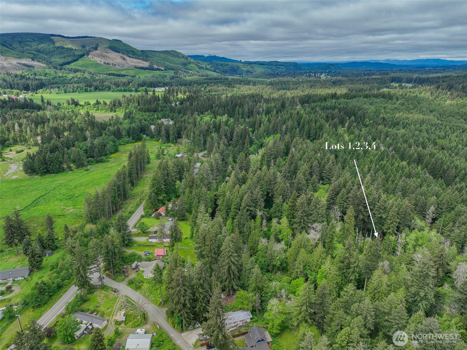 Land in Rainier 4