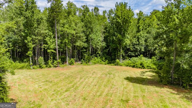 0 John Lovelace Rd, Home with 0 bedrooms, 0 bathrooms and null parking in LAGRANGE GA | Image 49