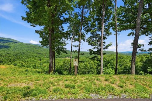 Lot 35 Wildcat Wilderness Parkway, Deep Gap, NC, 28618 | Card Image