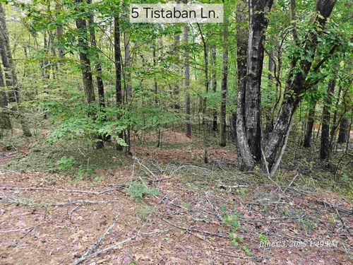 5 Tistaban Ln, Hot Springs Village, AR, 71909-3522 | Card Image