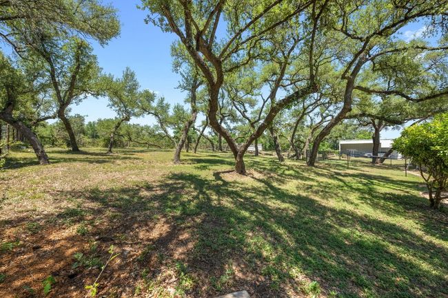 View of yard | Image 32