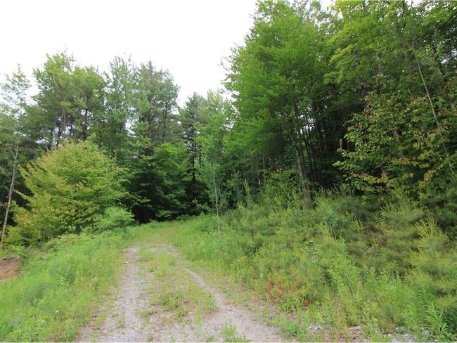 Lot 4 Piney Grove Ln, Home with 0 bedrooms, 0 bathrooms and null parking in Underhill VT | Image 9