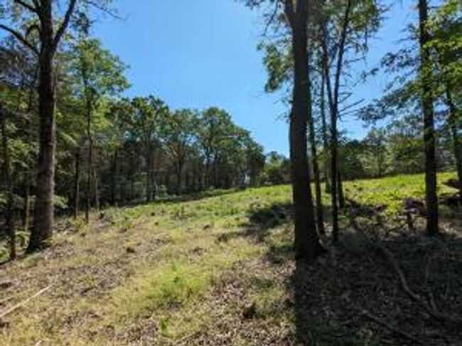 27B & 28B Shelby Lane, Home with 0 bedrooms, 0 bathrooms and null parking in Cecil AR | Image 26