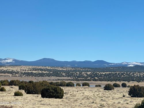TBD Lot 185 Lakeview Ranch Unit 4, Concho, AZ, 85924 | Card Image