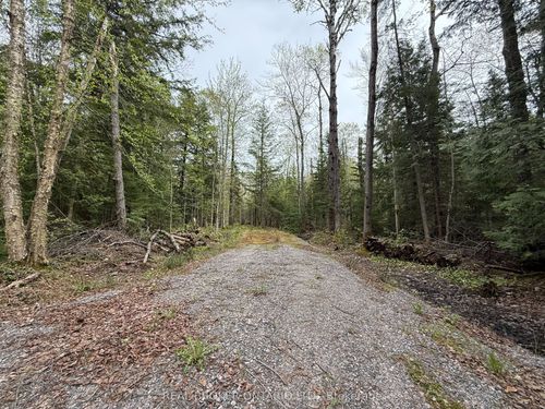 0 Bear Cave Rd, Rosseau, ON, P0C1J0 | Card Image