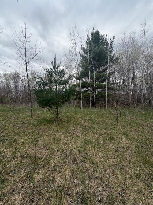 TBD Ottawa Dr, Browerville, MN, 56438 | Card Image