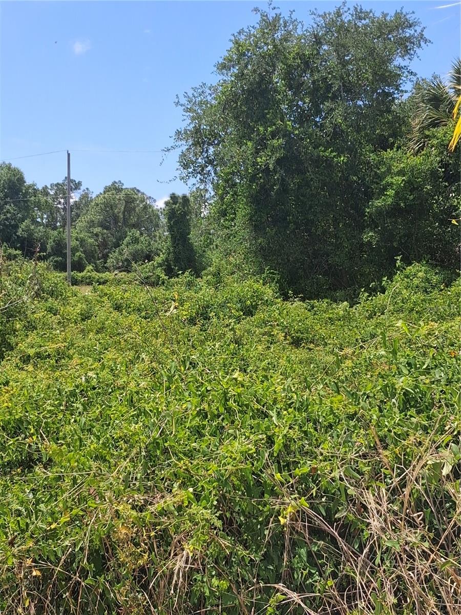 Land in NORTH PORT