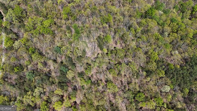 LOT 19 Heyden Ridge Dr, Home with 0 bedrooms, 0 bathrooms and null parking in Clarkesville GA | Image 12
