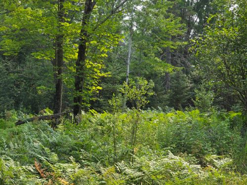 2684ac-OFF Hwy M28, Bruce Crossing, MI, 49912 | Card Image