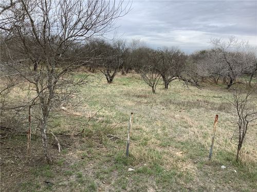 17 Chuckwagon Rd, Robstown, TX, 78380 | Card Image