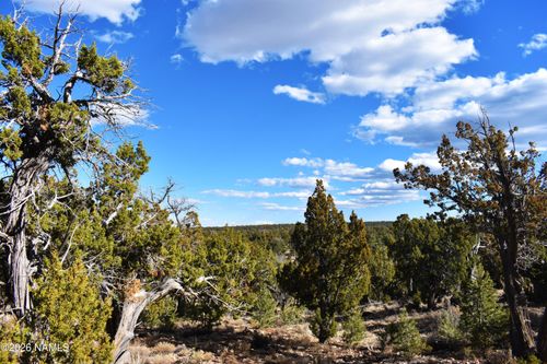 4367 Sunset Ridge Drive, Happy Jack, AZ, 86024 | Card Image