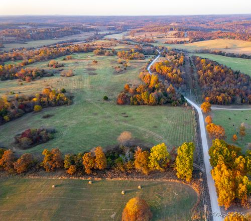 Tbd County Road 7830, Caulfield, MO, 65626 | Card Image