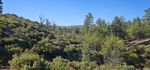 398-6303 Deer Run Rd, Show Low, AZ, 85901-9149 | Card Image