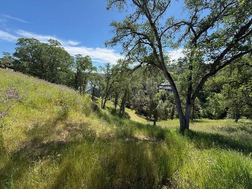 4319 Tomahawk Trl, Copperopolis, CA, 95228-9714 | Card Image