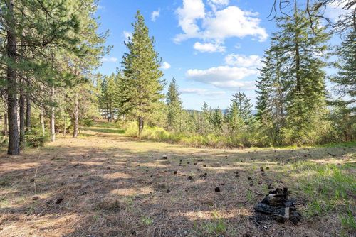 12703 S Alpine Fern Ln, Rockford, WA, 99030 | Card Image