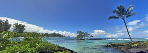 209-1875 Kalanianaole St, Hilo, HI, 96720-4901 | Card Image