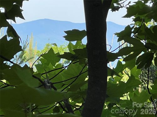 117-V/L Woodchuck Lane, Marion, NC, 28752 | Card Image