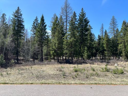 lot-1-238 Haskill Ranch Rd, Kila, MT, 59920 | Card Image