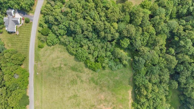 33-DJI_20250611153406_0319_D | Image 33