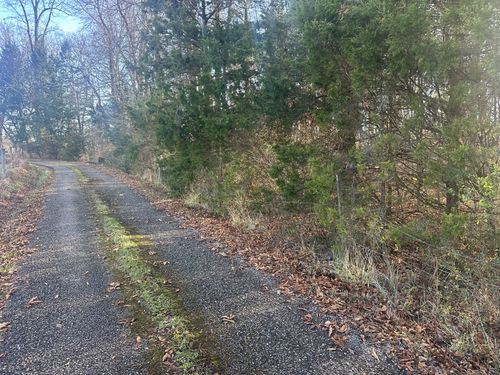 0 Arnold Thomas Rd, Silver Point, TN, 38582 | Card Image