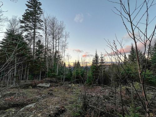 Lot 16 Mill Brook Road, Sandy River Plt, ME, 04970 | Card Image