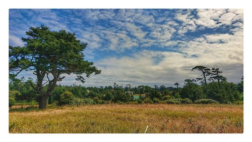 97 Meadow Ln, Friday Harbor, WA, 98250-8484 | Card Image