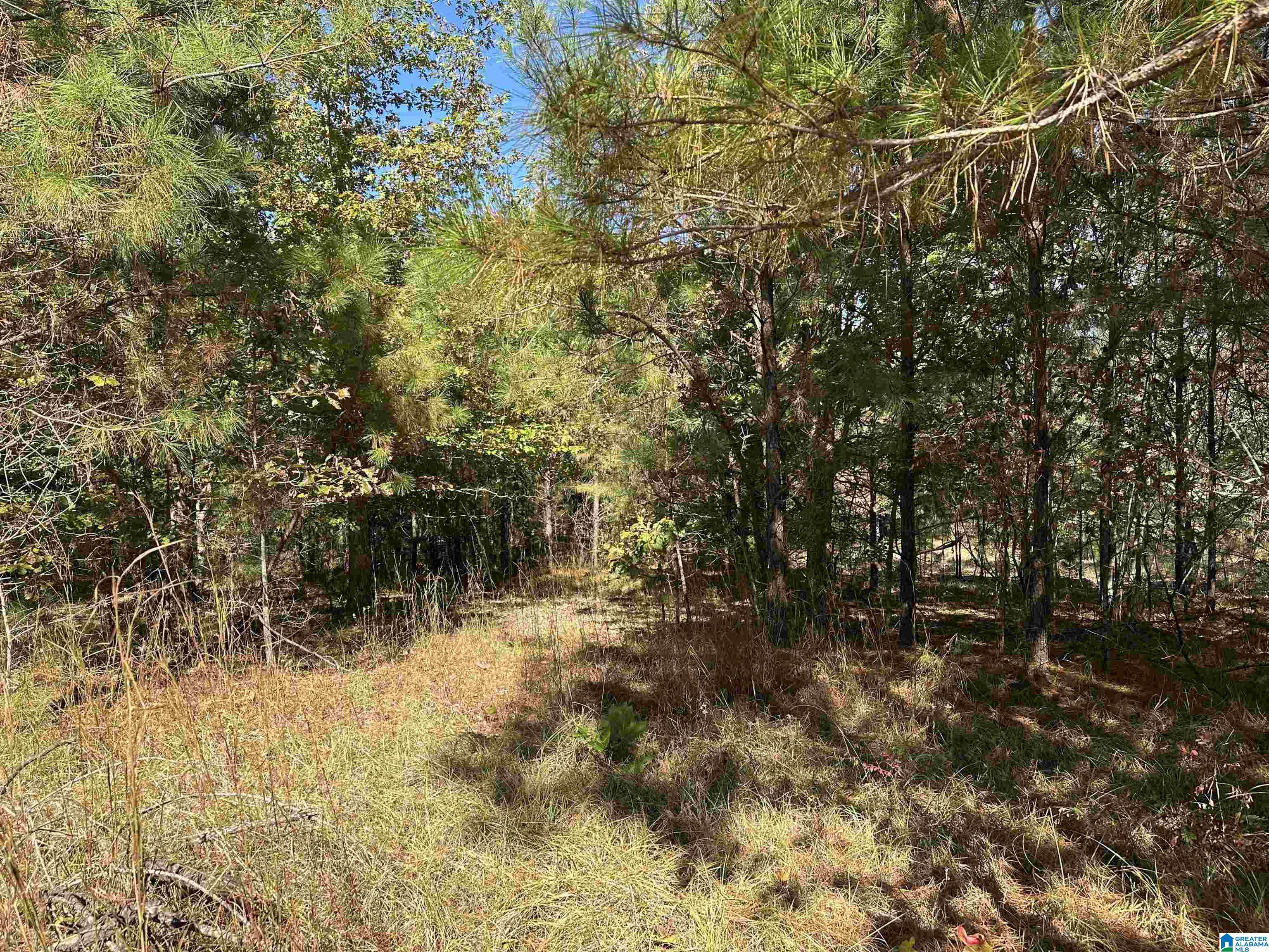 Land in VINCENT
