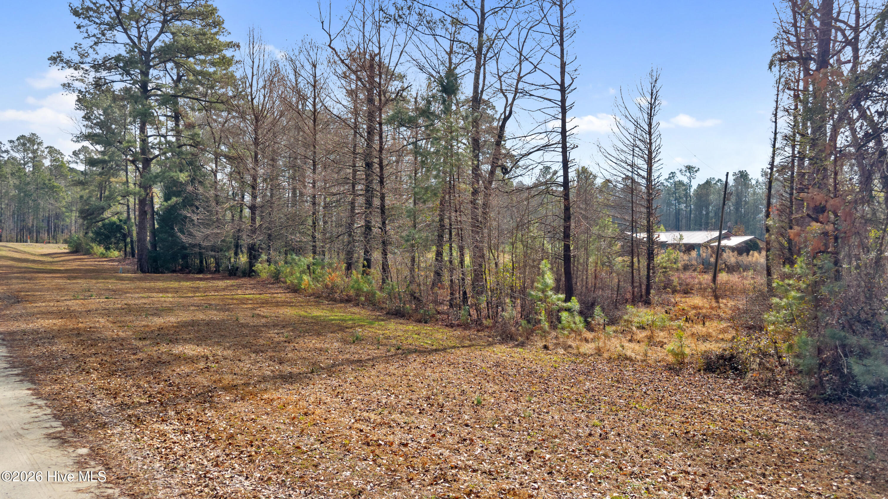 Land in Burgaw 4