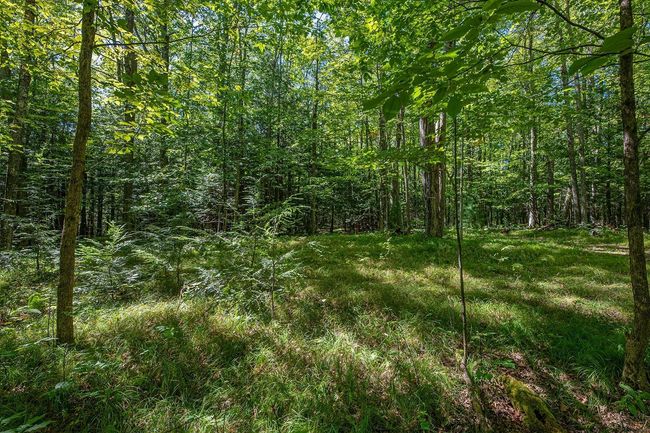 Lot 2 E Amber Lake Rd, Home with 0 bedrooms, 0 bathrooms and null parking in Lac du Flambeau WI | Image 10