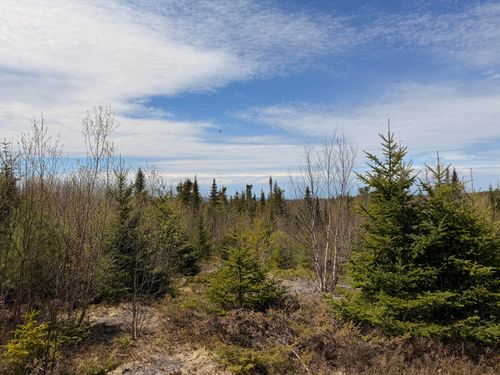 76 Morancy Road, Sullivan, ME, 04664 | Card Image