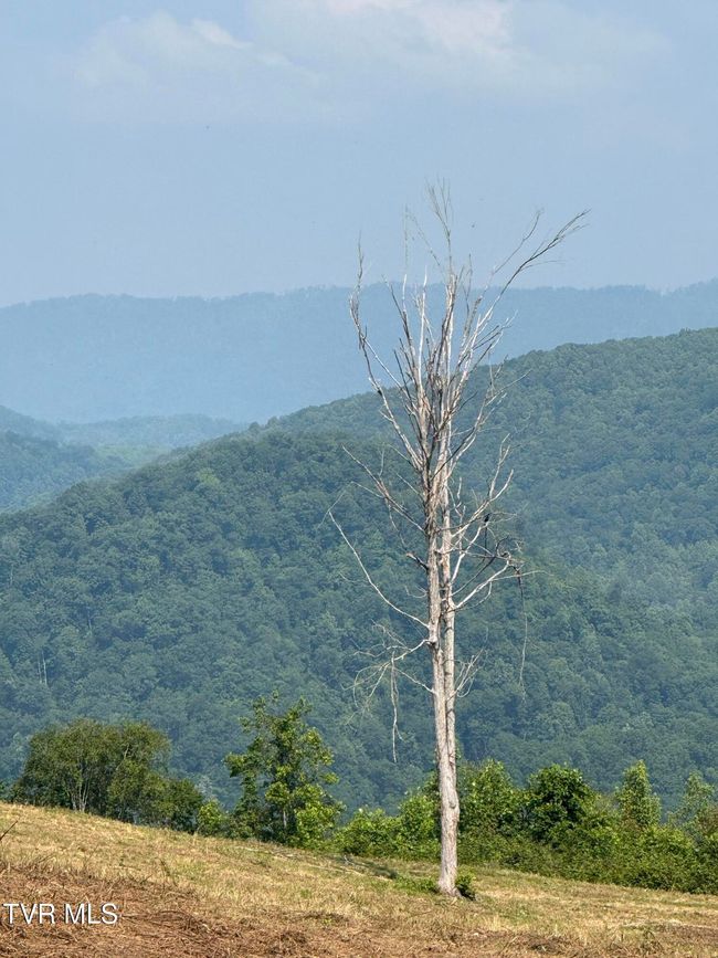 00 Heavens View Ln, Home with 0 bedrooms, 0 bathrooms and null parking in Gate City VA | Image 19