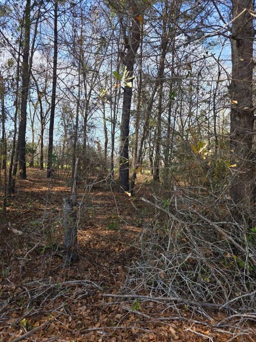 0 Adnah Church Rd, Islandton, SC, 29929 | Card Image