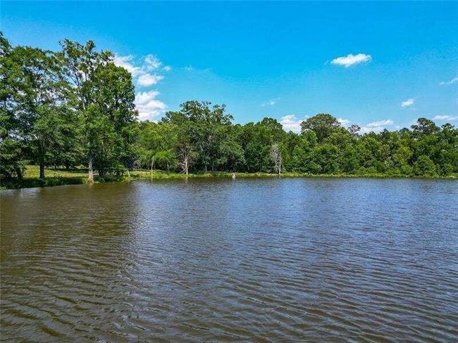 204 George Rd Sw, Home with 0 bedrooms, 0 bathrooms and null parking in Cave Spring GA | Image 34