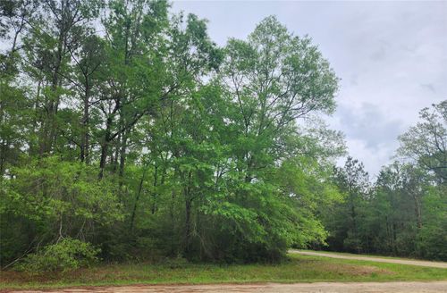 TBD Cloverdale, Livingston, TX, 77351 | Card Image