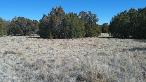 24 Wood Ln, Concho, AZ, 85924-0380 | Card Image