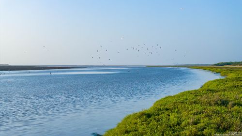 1118 E County Road 2200, Kingsville, TX, 78363 | Card Image