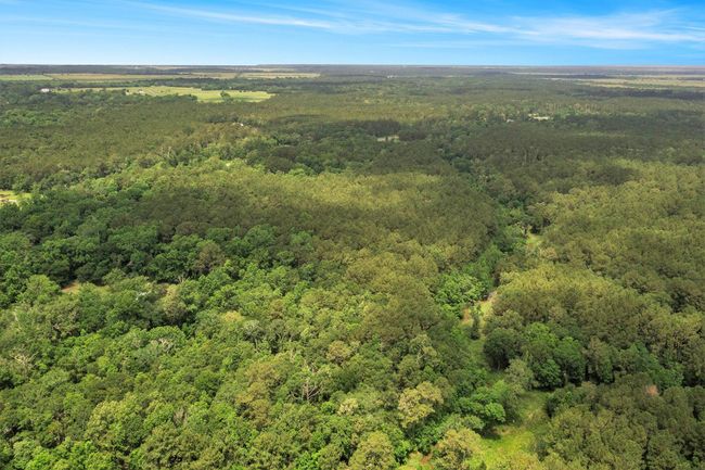 View of area | Image 7