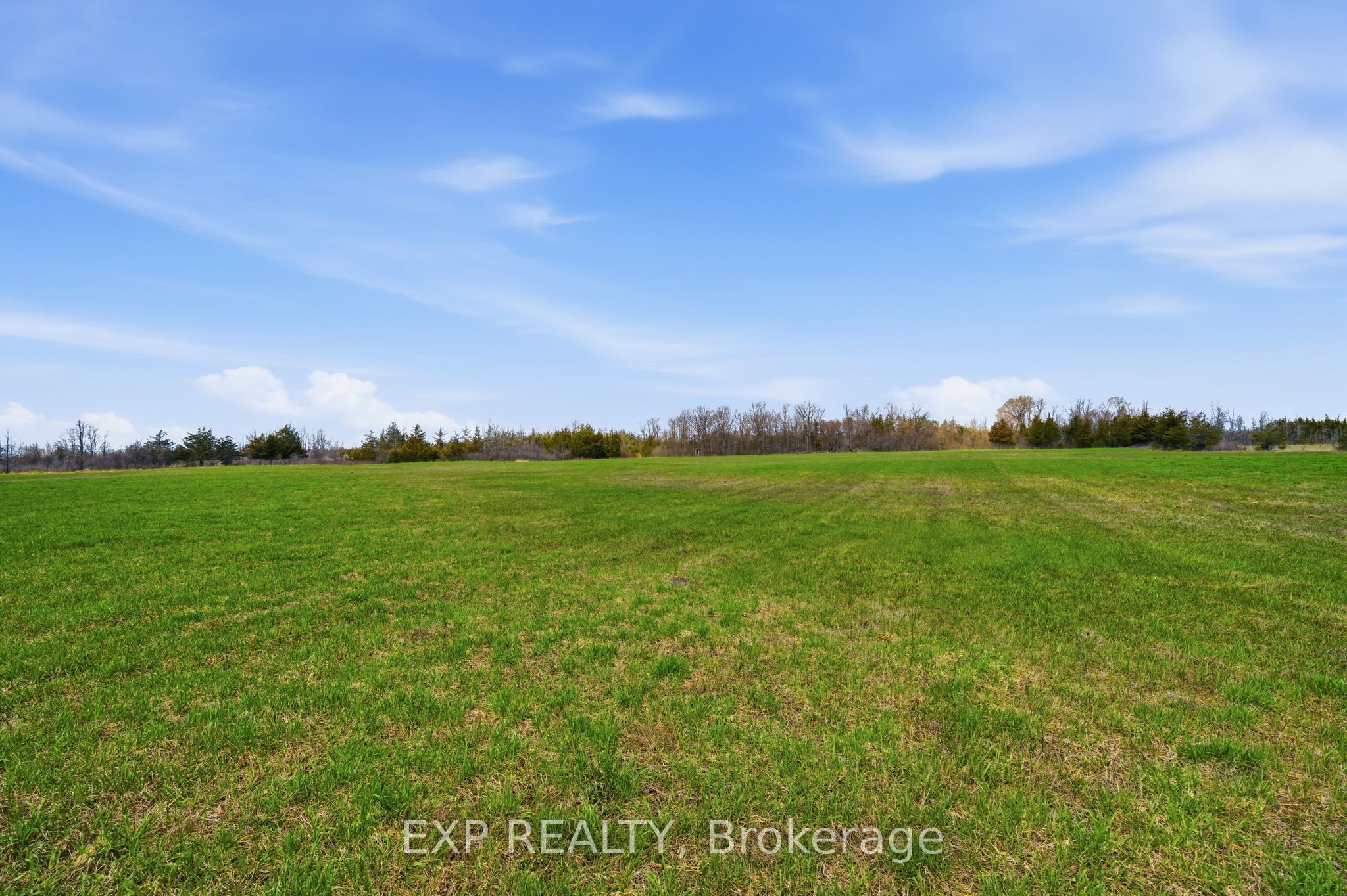 Residential in Prince Edward County 3