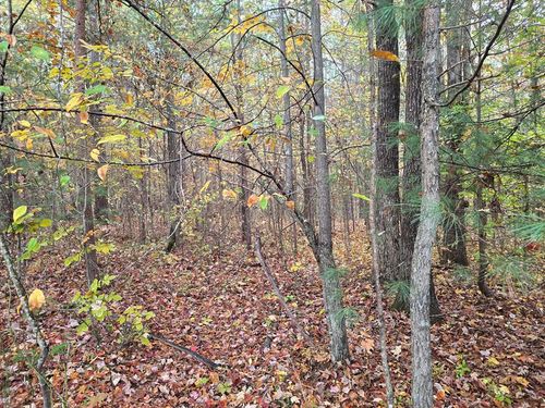 7.37 AC E Robbins Rd, Robbins, TN, 37852 | Card Image